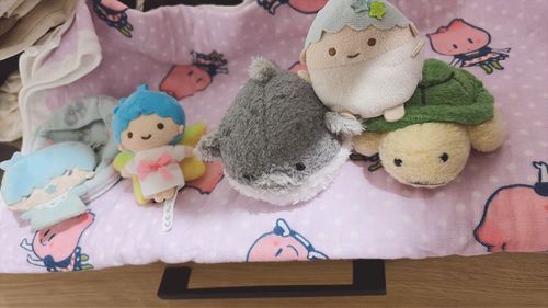 自慢のぬい達をお洗濯しました💕
ふわふわアワアワ気持ちよさそうでした❤️‍🔥
綺麗に ふわふわになって 大満足✨✨
よく頑張ったね！！