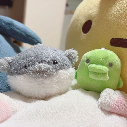ぶっちゅちゃん と くちぱっち
くちびる仲間🩵