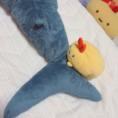 シャークさんをマッサージしているえびちゃん✨✨
小さいおてて かわいい♥️