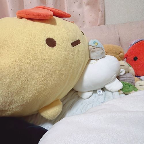 仲良しだね！