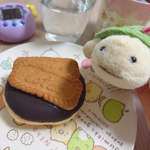 大好きな甘いものを貰えて ドヤ顔のカメカメ🐢