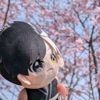 さくら