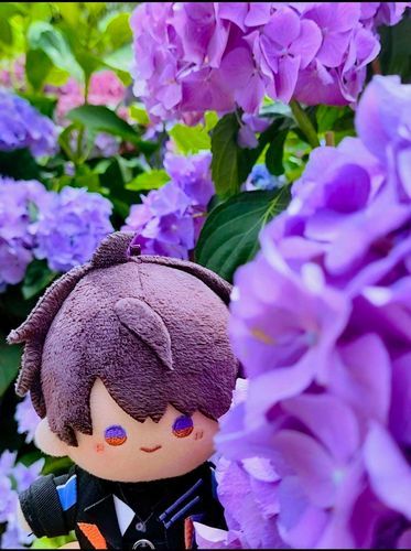 5月に咲く紫陽花