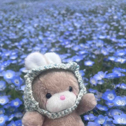 ねもふぃら💙🩵
