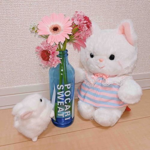 春だねー