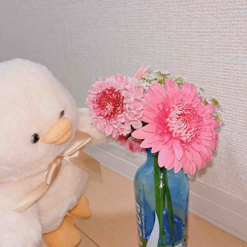 初めてお花を見た