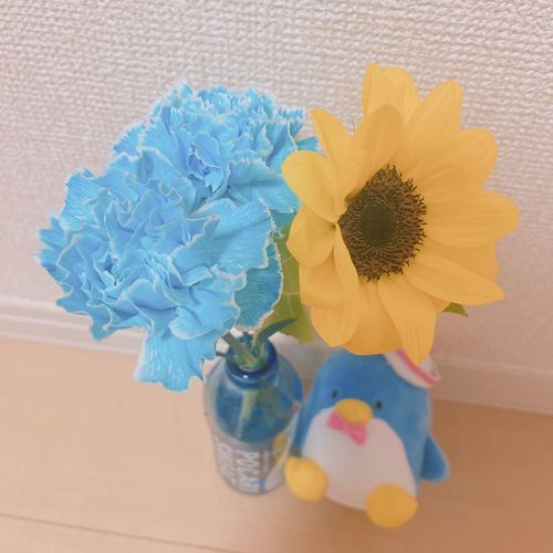今月のお花🌼