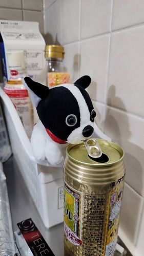ボクたちはお出かけの写真まだあんまりないから、パパさんに付き合ってお酒飲んだ写真✨🥃