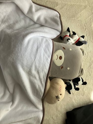 ねむになっちゃった( ¯꒳¯ )ᐝパパさんにらいんしたら「みんな仲良し☺️」って！🐶おやすみなさーい。