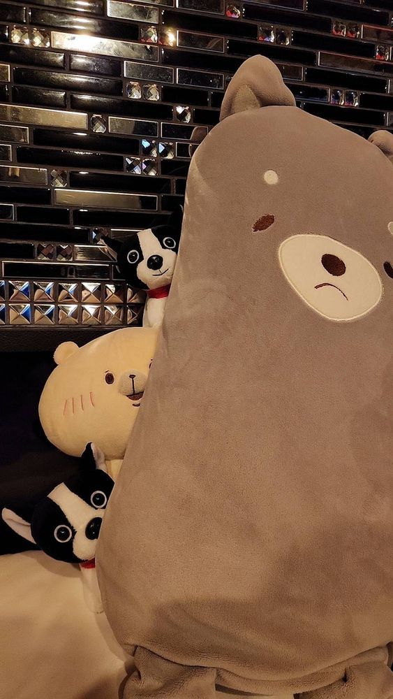あそびにきまちた！