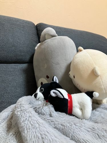 ケンカしないよね…？