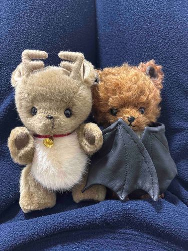 ぼくたちにきょうだいがふえるよ！
ぞんびてでぃべあなの。うれしいな、うれしいな☺️