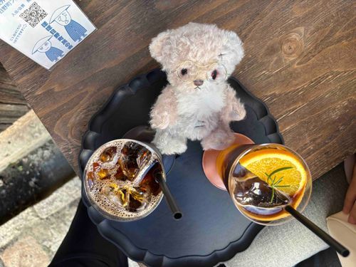 あのねあのね！ぼくのさっかさんのポップアップカフェやるんだって…！
これはいかなきゃだ〜！！🤍

あるじが、だんなさんつれていく！！！！！ってせんげんしてたよ。もちろん、ぼくたちもつれていってもらうんだ！たのしみだね💕

いつも、みんなのコメントととうこうにあるじいやされてるって。
みんな、ありがとう〜💓