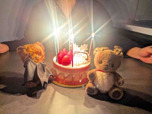 みんな、げんき？🥰
ぼくのあるじ、すまほかえちゃって、
できなかったの😔
いまは、まえのすまほからはいってるよ！😤

おそくなっちゃったけど、
はっぴーめりーくりすます🍓