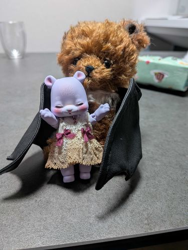 🐻💜うち、ぷくぷくって言うん!🥰

今日、お家に来たよ！
名前の由来はパパがぷくぷくしとる！って言ったところからやで😆
そやろ？可愛らしい姿しとるやろ？🥰
お洋服はママが着せてくれたお気に入りやねんけど、

もしかしたら、これから着ぐるみ着て色んなとこ連れてもらう予定してるねん🥰よろしくなぁ🤭