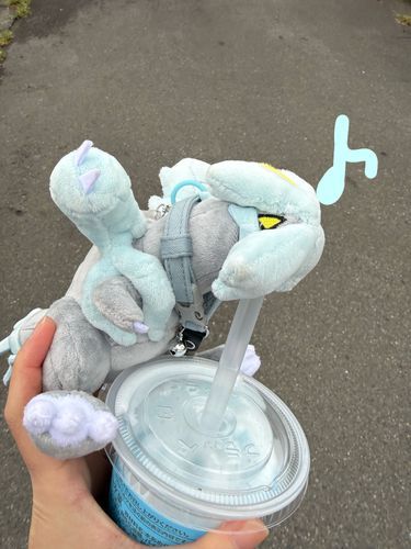 きゅうとあさんぽ(ポケモンのフラッペ買ったのに見えない💦)