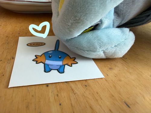 小さき命、ってやつだね、きゅう