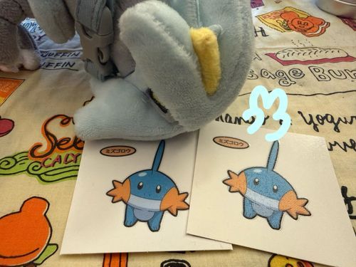 ミズゴロウちゃん2枚目だね、きゅう