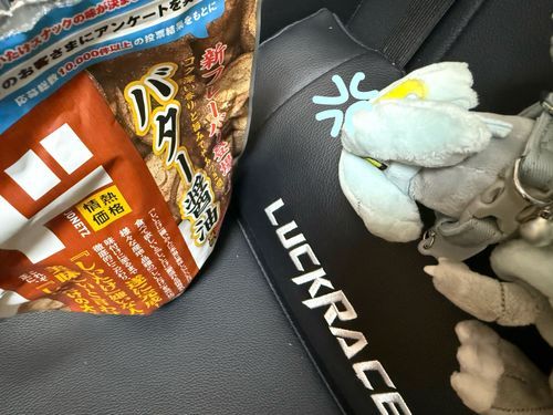 しいたけに怒っても甘いおやつは出てこないよ、きゅう