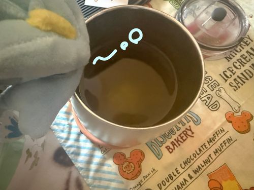 色味汚いけど、緑茶に自家製の梅干し混ぜた飲み物🥤
水分嫌いな私が夏によく作る飲み物です！

緑茶の爽やかさと梅のすっぱさがいい感じに混ざりあってスッキリ飲めるので、水分補給が欠かせない夏によく作ります🍵

梅干しは蜂蜜入ってないやつがオススメです