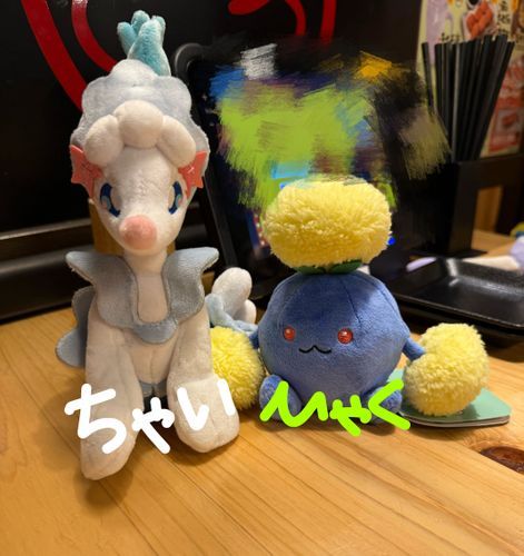 きゅうファミリーに新しい仲間が増えました❣️❣️
ちゃいとひゃくです！よろしくお願いします🙌💕