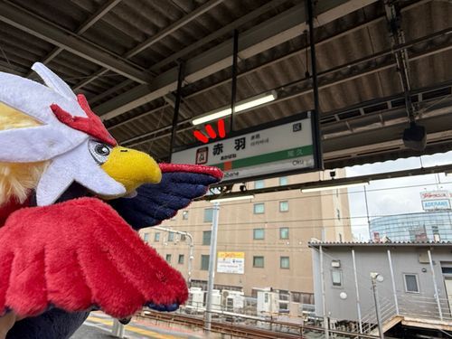 赤羽駅で赤羽（ウォーグルのヴォルです！）を撮る📷