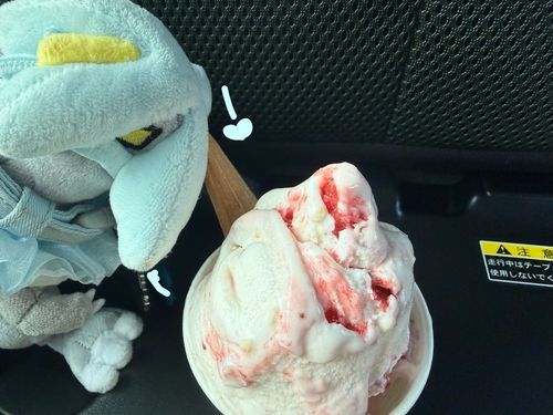ジェラート食べた🍓🍨