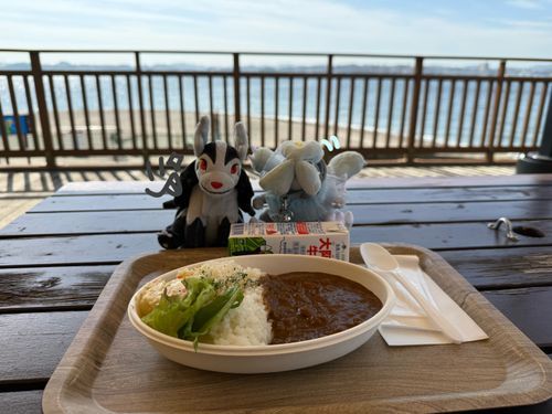 新入りのでぃあと猿島へ