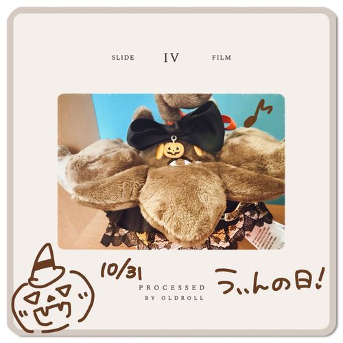 はっぴーはろうぃん🎃🦇🕸