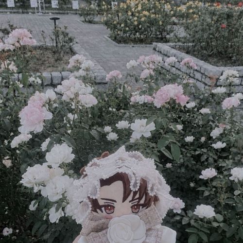 バラ園🌙