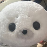 モコ₍ .  ̫. ₎