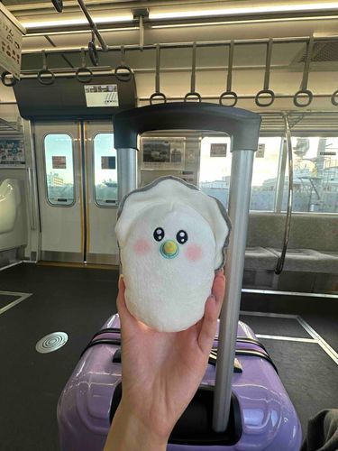 横浜ついてきてもらった🎀