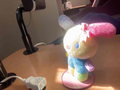 ポカポカね、、、
