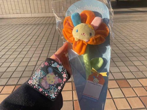 はぴはぴはーぴー«*(*´ ꒳ `*)*»