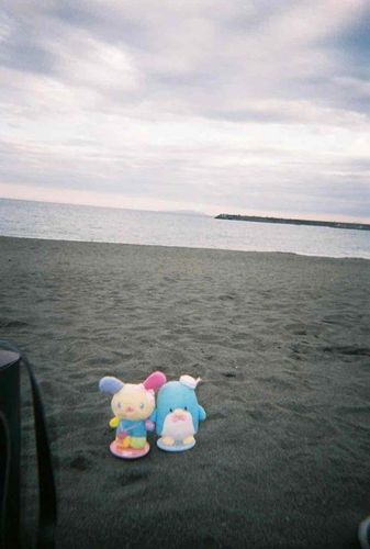 はじめて海を見たワ　フィルムも素敵ネ