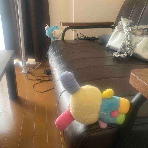 新しいソファが届いたヮ❕
