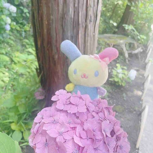 みんな、キャラクター大賞2024、応援本当にありがとう‼️‼️‼️‼️

結果は

20位〜〜〜❣️❣️❣️

嬉しすぎるヮ、、、！！！
主が投票し始めた頃なんて、30位代だったヮ
それが年々順位を伸ばし、ついにここまで…！！来年は10位代に乗りたいワね‼️‼️

本当にがんばった❣️
みんなのおかげ❣️
これからもよろしく❣️