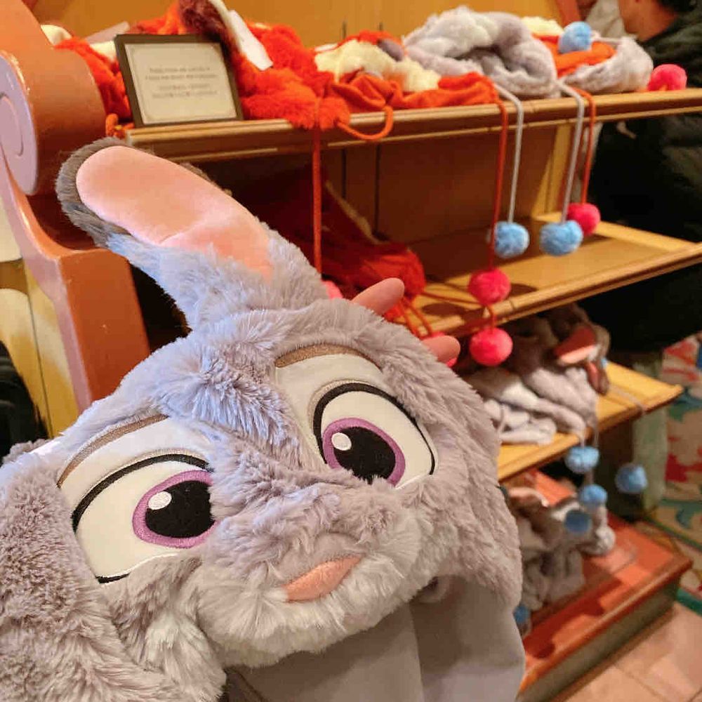 実はね〜、みんなで行ってきたんだよ〜( ¨̮ )✨

2月の終わりで、新しい仲間も増えたよ〜🐰🩵