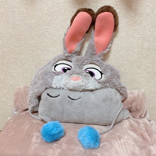 じゅでぃジュディ🐰🐰🎀🫧

（自分をズートピアのジュディだと思ってる灰色うさぎと、本物のジュディファンキャップの、仲良し親友コンビです笑）