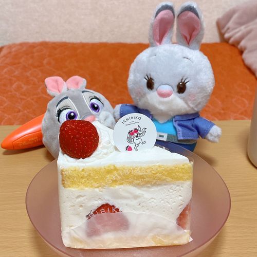いちごのケーキ🍓🫧