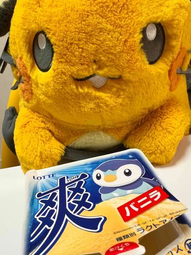 飼い主の食べかけを狙うンネ