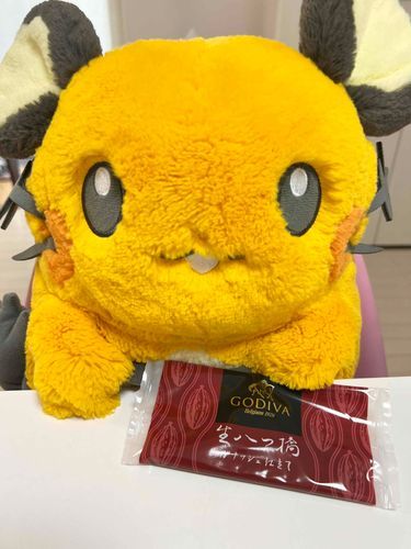 GODIVAの八つ橋もらったンネ