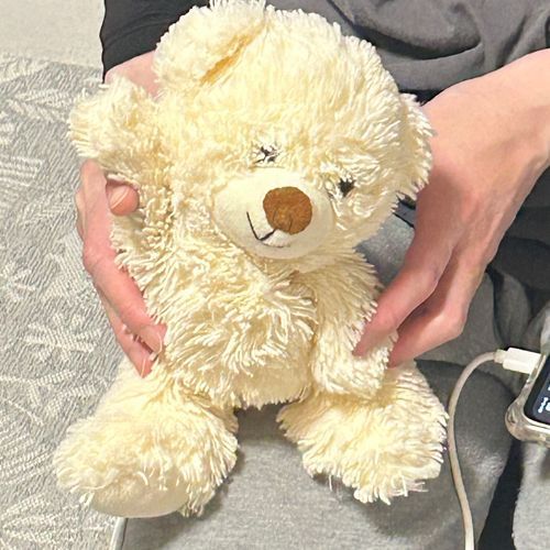 こいつよりはやくこの家に来てたキャンディだよ
いつもハンカチの毛布にくるまってる
目周りの毛をどかすとすごく目が大きい
よく主がキューアグ起こしてつぶされてるよ