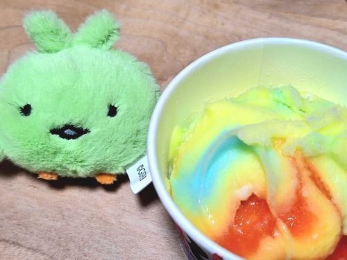 かいぬし、しごとがんばったからちょっといいあいすたべるんだって！
