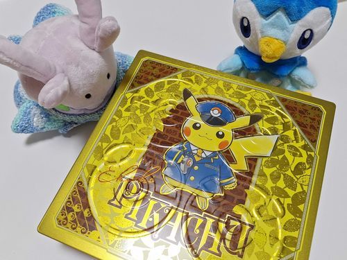かいぬしのおともだちからおくられてきたんだって！
かわいい〜💕ってめっちゃしゃしんとってた📷
