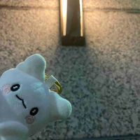 日常まるまる