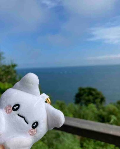 海にきたのー！あおいのー