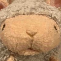 もこ