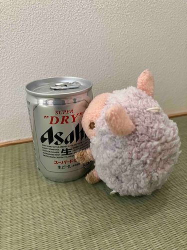 おつまみなににしよ