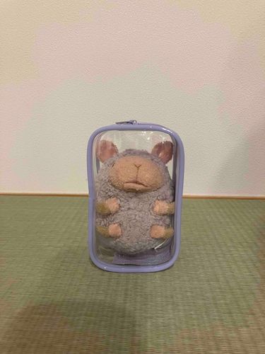 どうきょにんがかってきたおでかけポーチ、ひょうほんみたいになる